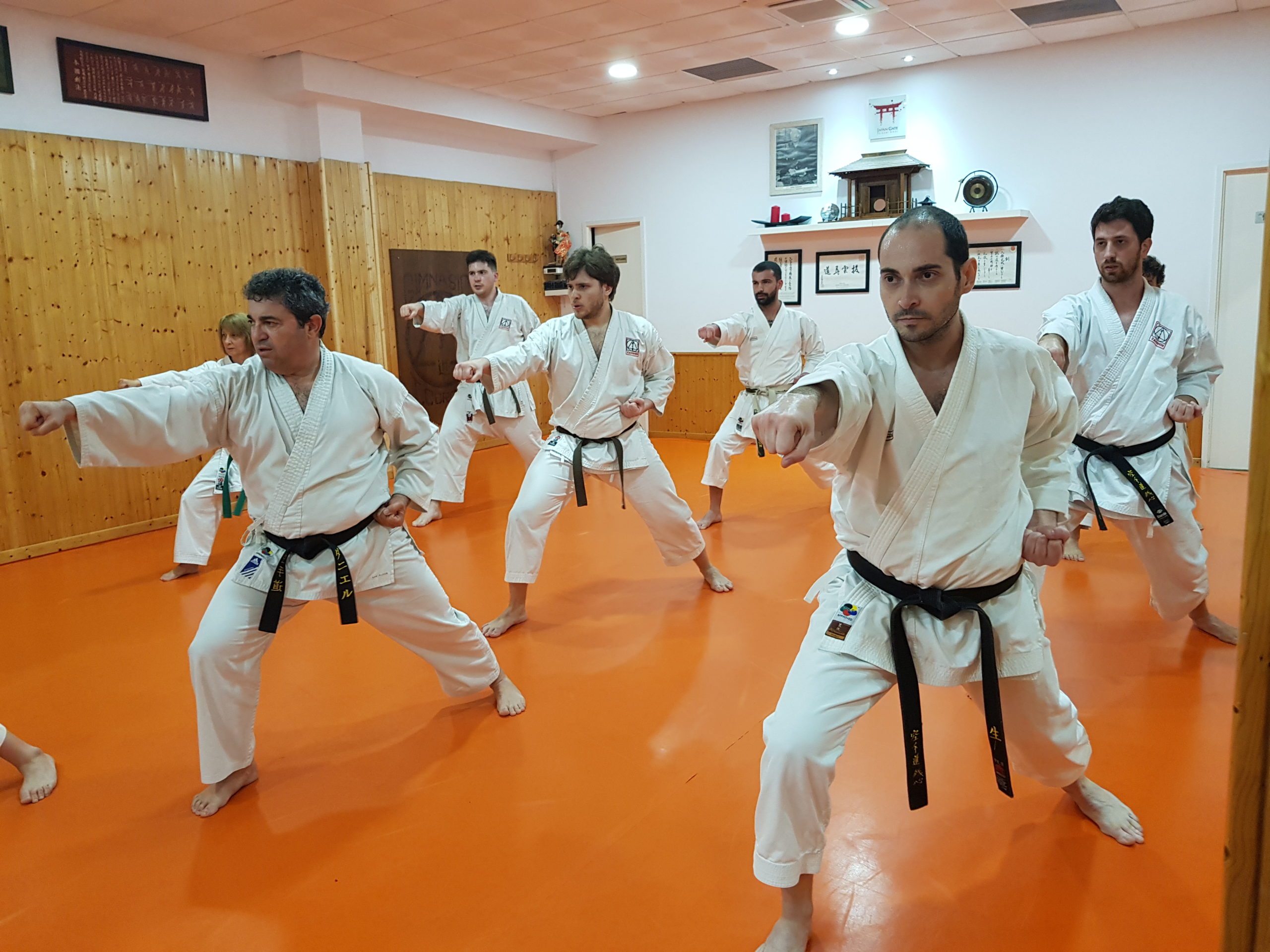 rechazo Piquete Máquina de recepción Karate adultos | Zanshin